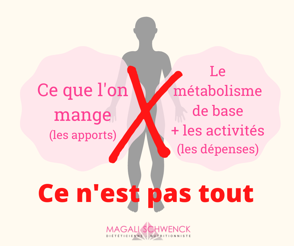 Le poids idéal pour être en bonne santé: Existe-t-il vraiment ? 4 Toutes les composantes du poids 1