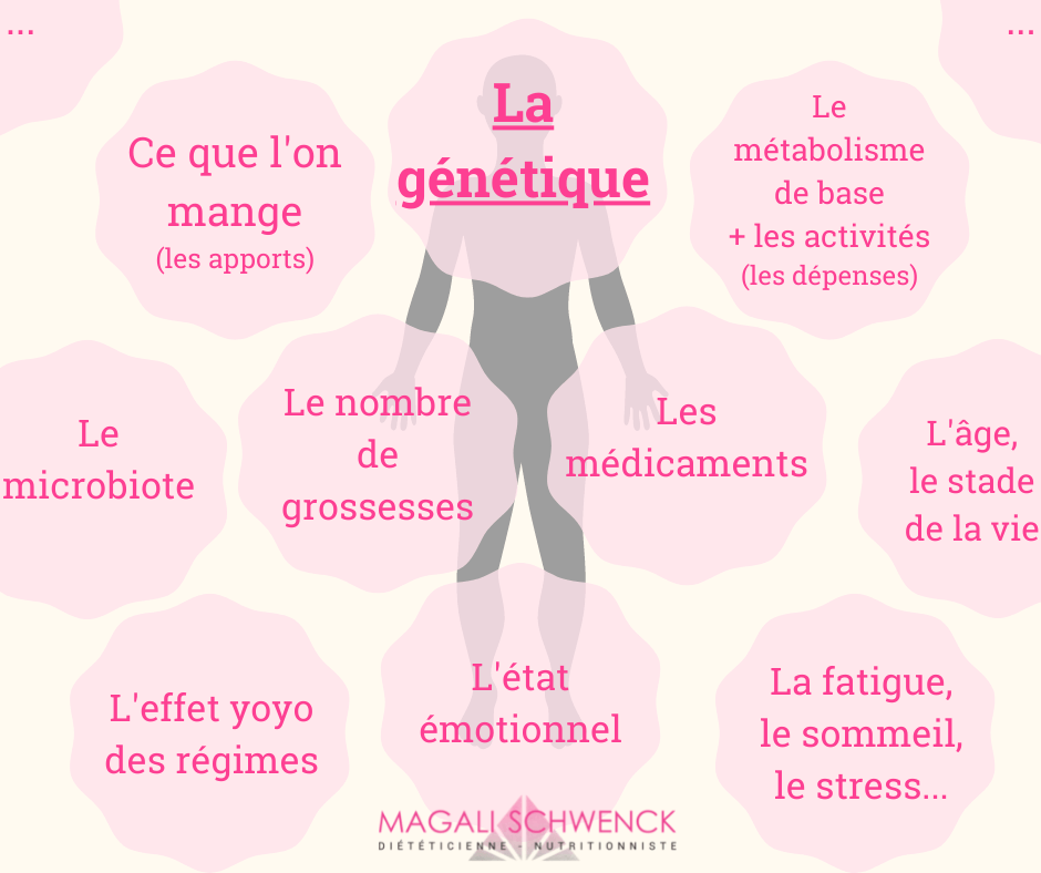Le poids idéal pour être en bonne santé: Existe-t-il vraiment ? 5 Toutes les composantes du poids