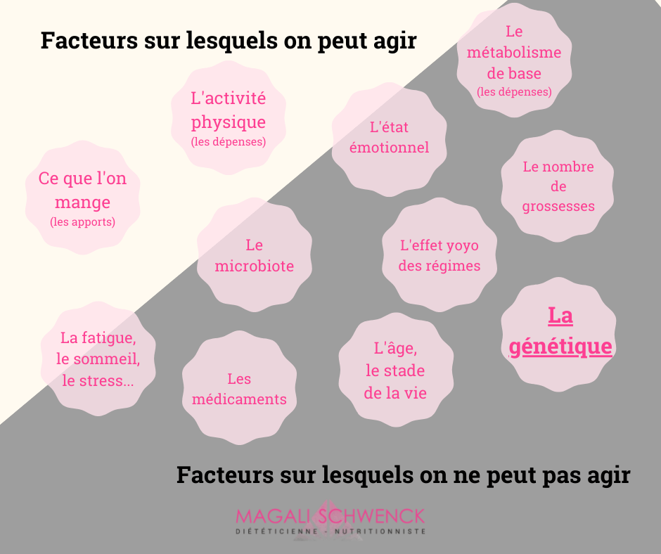 Le poids idéal pour être en bonne santé: Existe-t-il vraiment ? 6 Agir sur les composantes du poids