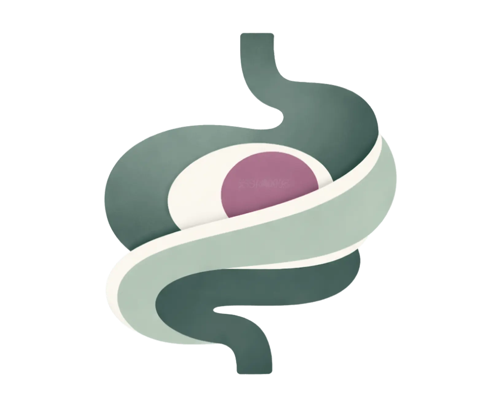 Alimentation en lien avec les problèmes métaboliques et de digestion